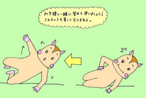 背中を安定させるトレーニング